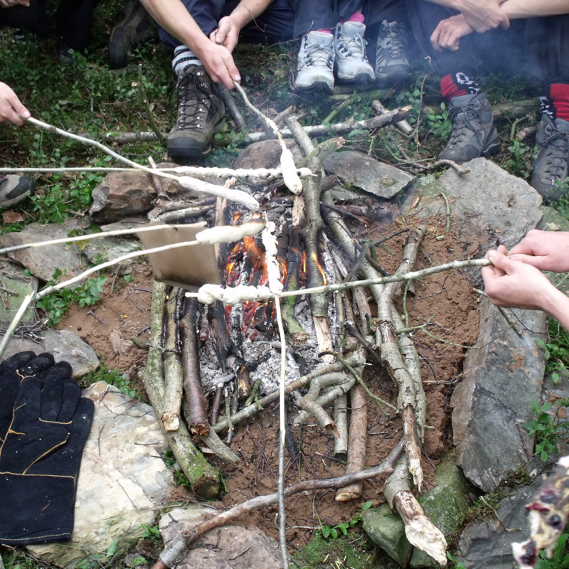 Bushcraft%20800%20800